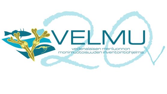 Velmu 20 v -logo